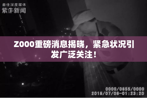 Z000重磅消息揭晓，紧急状况引发广泛关注！