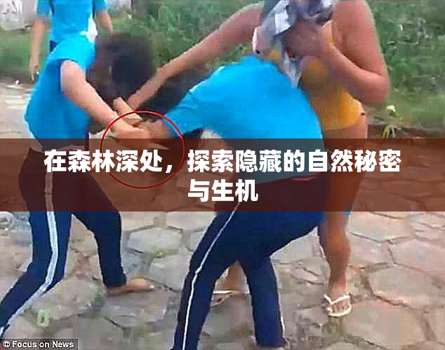 在森林深处，探索隐藏的自然秘密与生机