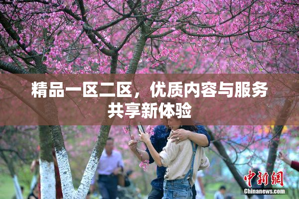 精品一区二区，优质内容与服务共享新体验