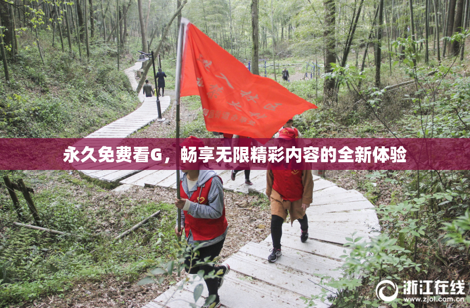 永久免费看G，畅享无限精彩内容的全新体验