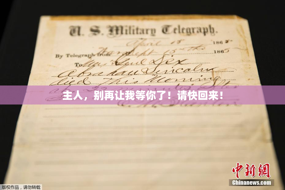 主人，别再让我等你了！请快回来！