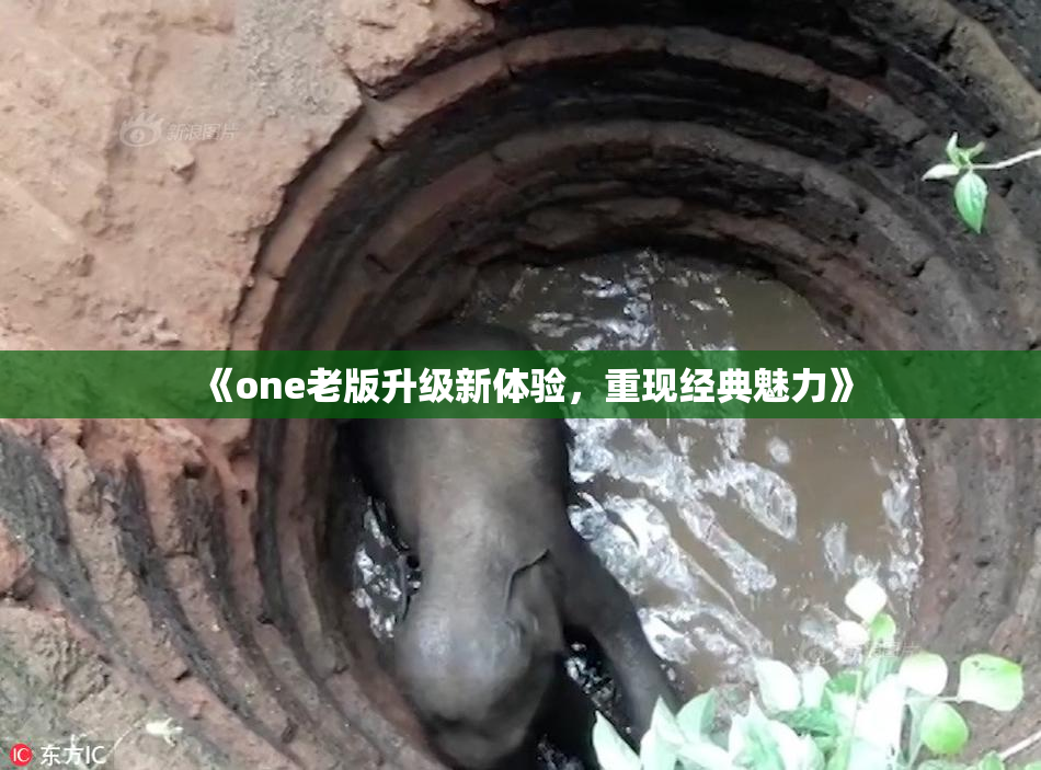 《one老版升级新体验，重现经典魅力》