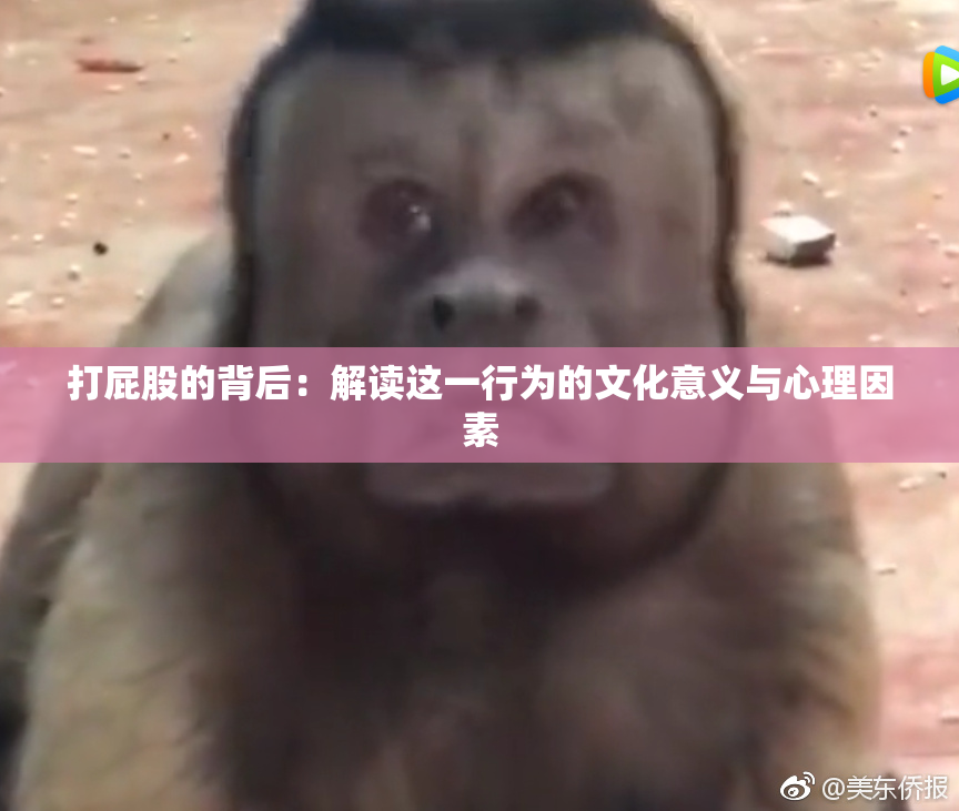 打屁股的背后：解读这一行为的文化意义与心理因素