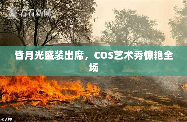 皆月光盛装出席，COS艺术秀惊艳全场