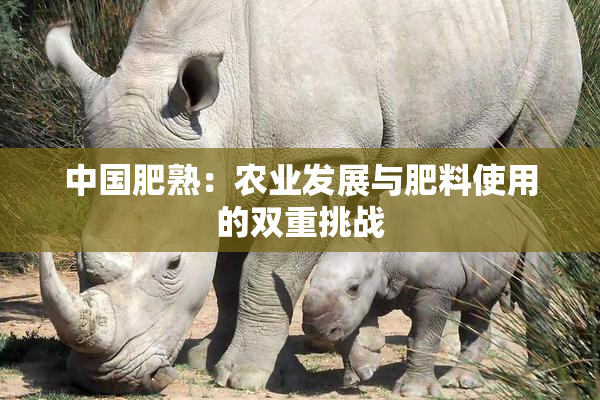 中国肥熟：农业发展与肥料使用的双重挑战
