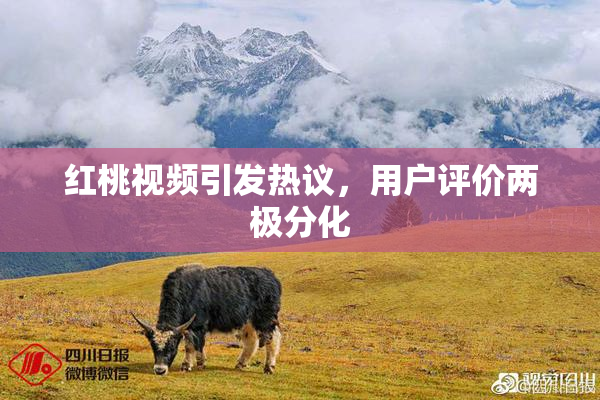 红桃视频引发热议，用户评价两极分化