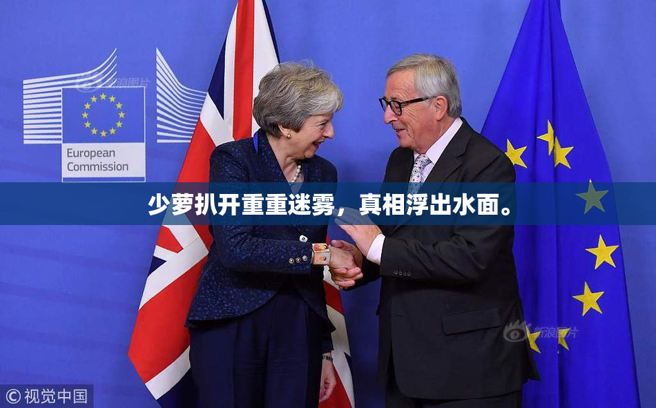 少萝扒开重重迷雾，真相浮出水面。