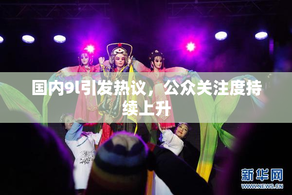 国内9l引发热议，公众关注度持续上升