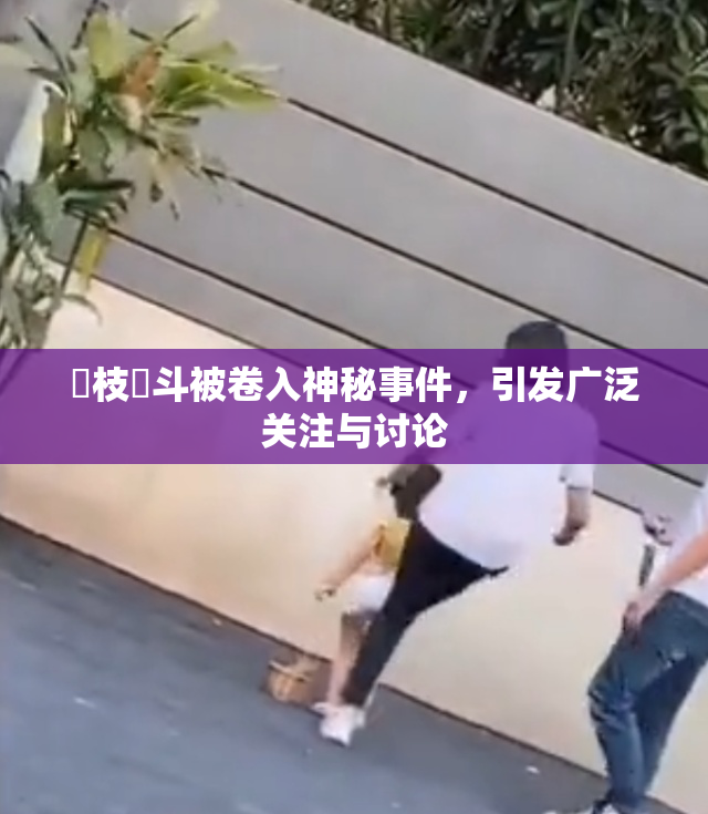 狛枝凪斗被卷入神秘事件，引发广泛关注与讨论