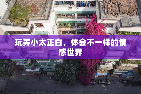 玩弄小太正白，体会不一样的情感世界