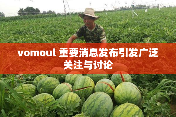 vomoul 重要消息发布引发广泛关注与讨论
