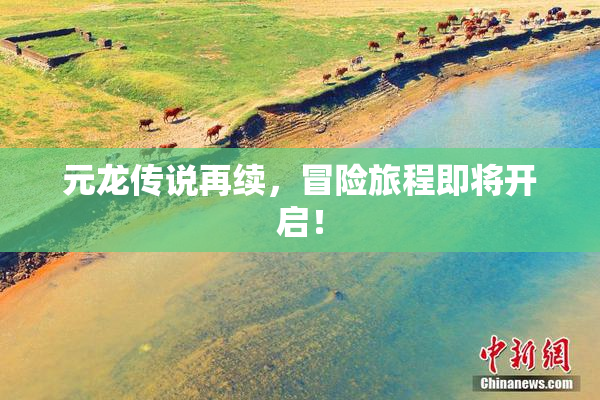 元龙传说再续，冒险旅程即将开启！