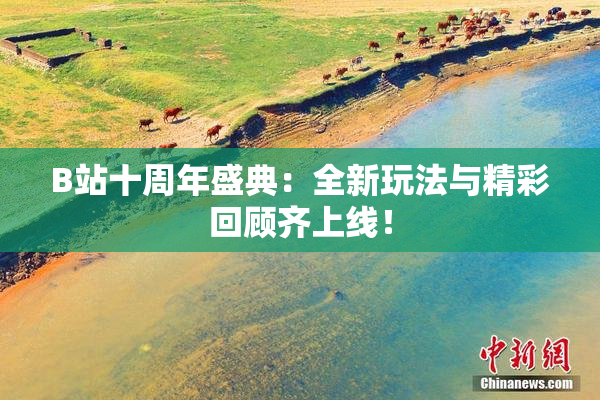 B站十周年盛典：全新玩法与精彩回顾齐上线！