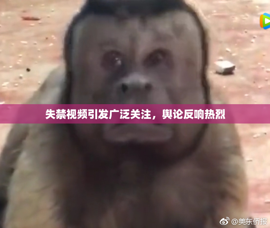 失禁视频引发广泛关注，舆论反响热烈