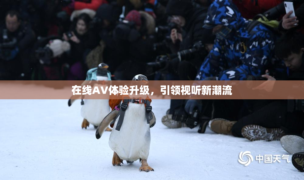 在线AV体验升级，引领视听新潮流