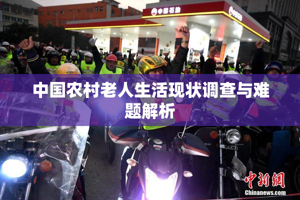 中国农村老人生活现状调查与难题解析