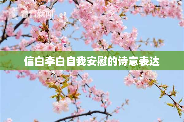 信白李白自我安慰的诗意表达