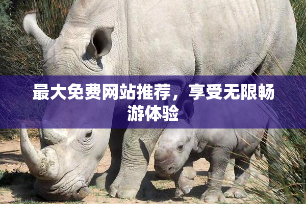 最大免费网站推荐，享受无限畅游体验