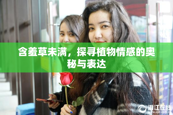 含羞草未满，探寻植物情感的奥秘与表达