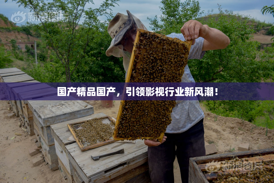 国产精品国产，引领影视行业新风潮！