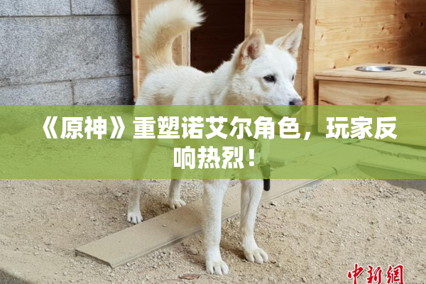 《原神》重塑诺艾尔角色，玩家反响热烈！