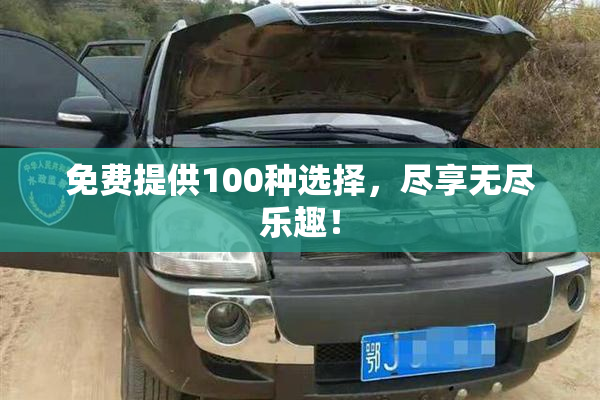 免费提供100种选择，尽享无尽乐趣！