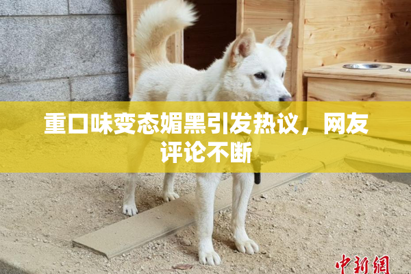 重口味变态媚黑引发热议，网友评论不断
