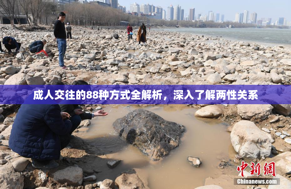 成人交往的88种方式全解析，深入了解两性关系