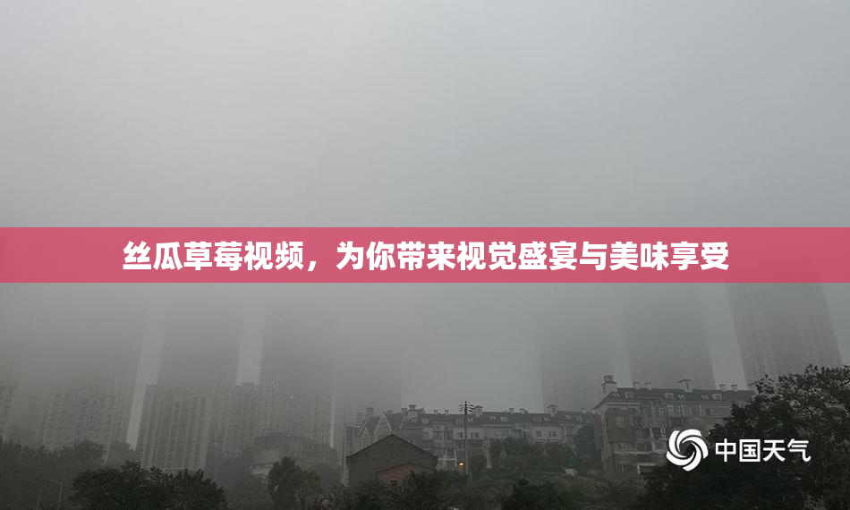丝瓜草莓视频，为你带来视觉盛宴与美味享受
