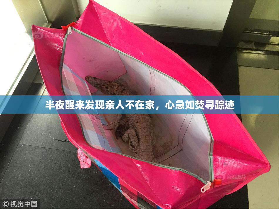 半夜醒来发现亲人不在家，心急如焚寻踪迹