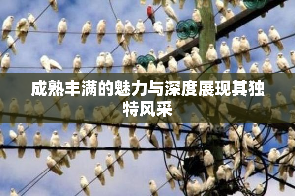 成熟丰满的魅力与深度展现其独特风采