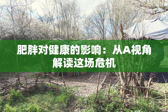 肥胖对健康的影响：从A视角解读这场危机
