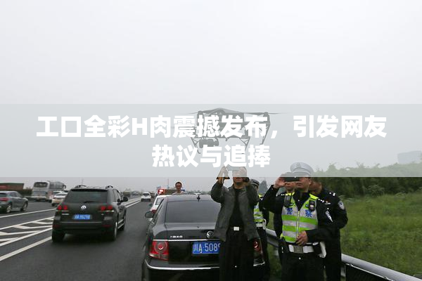 工口全彩H肉震撼发布，引发网友热议与追捧