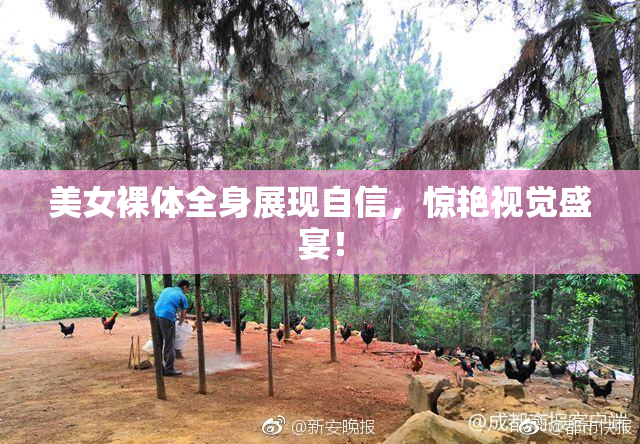 美女裸体全身展现自信，惊艳视觉盛宴！