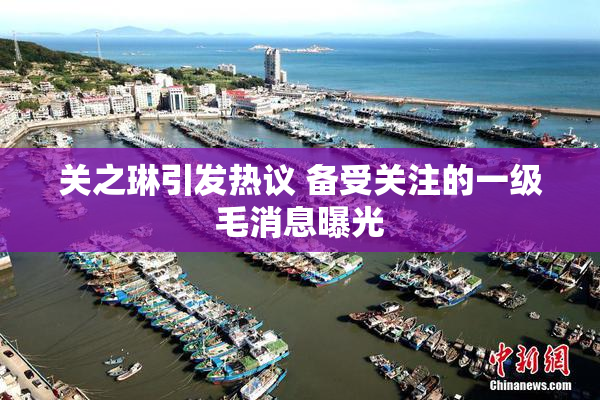 关之琳引发热议 备受关注的一级毛消息曝光