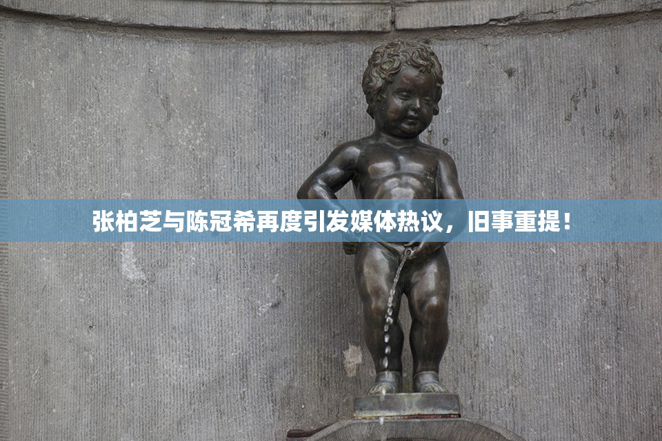 张柏芝与陈冠希再度引发媒体热议，旧事重提！