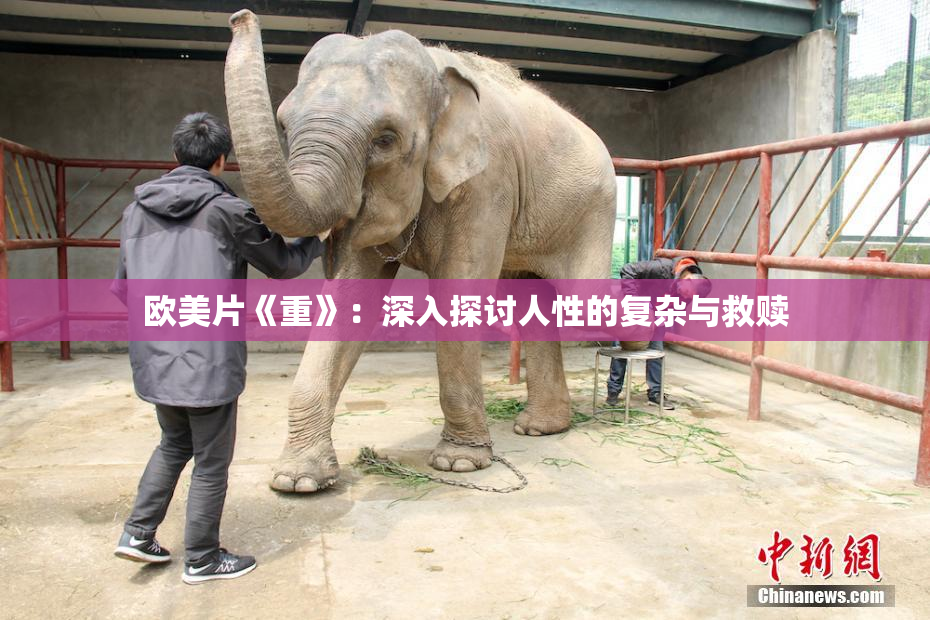 欧美片《重》：深入探讨人性的复杂与救赎