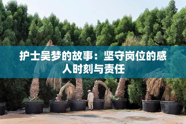 护士吴梦的故事：坚守岗位的感人时刻与责任