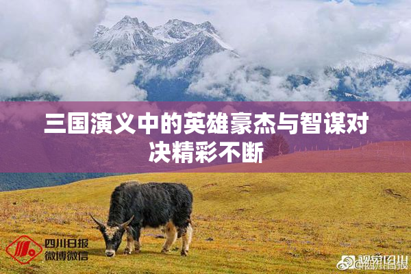 三国演义中的英雄豪杰与智谋对决精彩不断