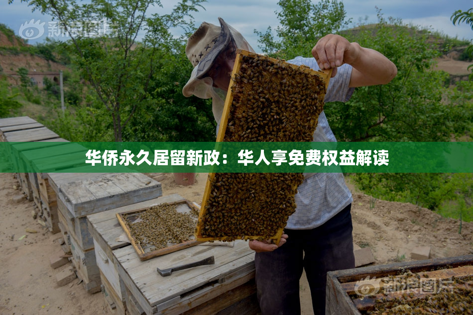 华侨永久居留新政：华人享免费权益解读
