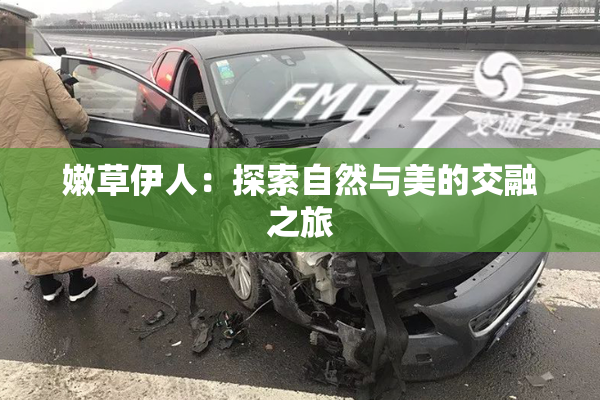 嫩草伊人：探索自然与美的交融之旅