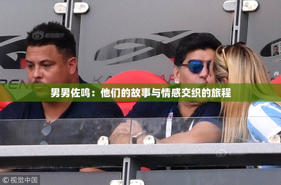 男男佐鸣：他们的故事与情感交织的旅程