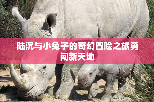 陆沉与小兔子的奇幻冒险之旅勇闯新天地