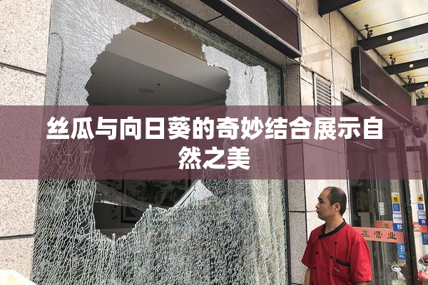 丝瓜与向日葵的奇妙结合展示自然之美