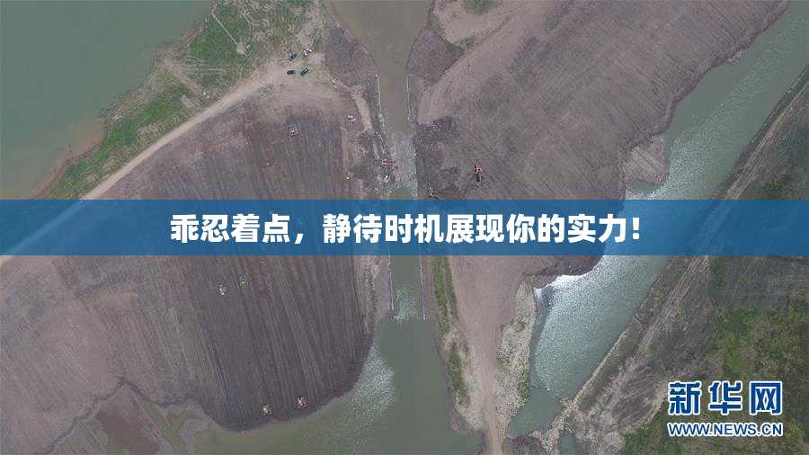 乖忍着点，静待时机展现你的实力！