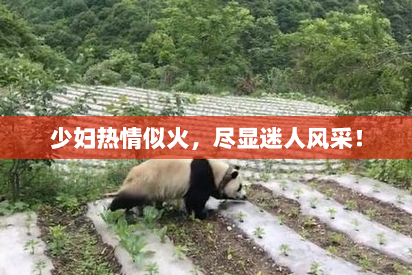 少妇热情似火，尽显迷人风采！