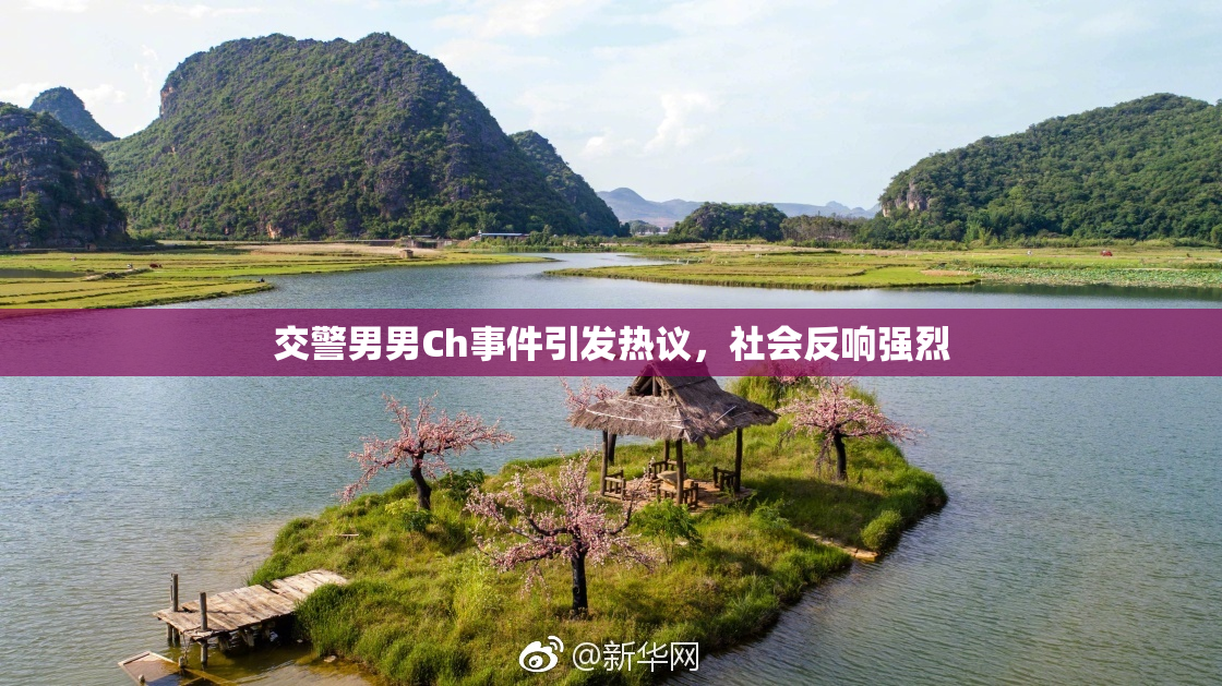 交警男男Ch事件引发热议，社会反响强烈