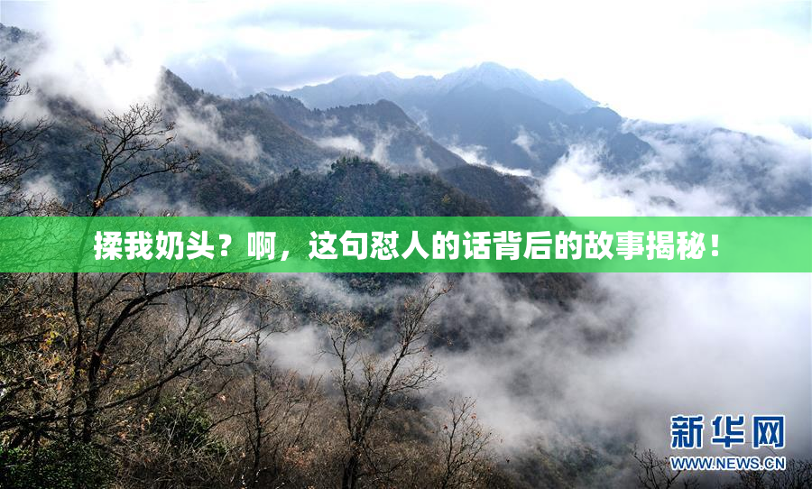 揉我奶头？啊，这句怼人的话背后的故事揭秘！