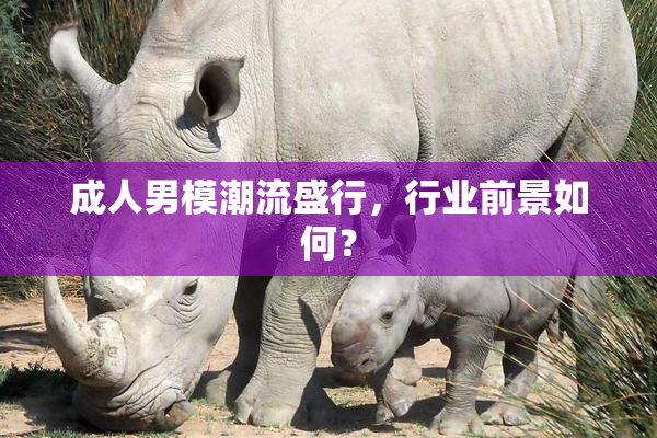 成人男模潮流盛行，行业前景如何？