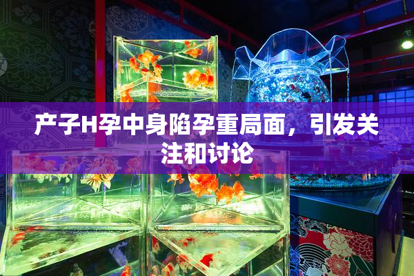 产子H孕中身陷孕重局面，引发关注和讨论